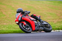 Lower Group Red Bikes